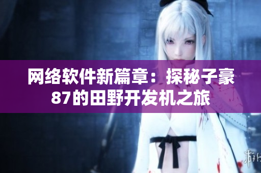 网络软件新篇章：探秘子豪87的田野开发机之旅
