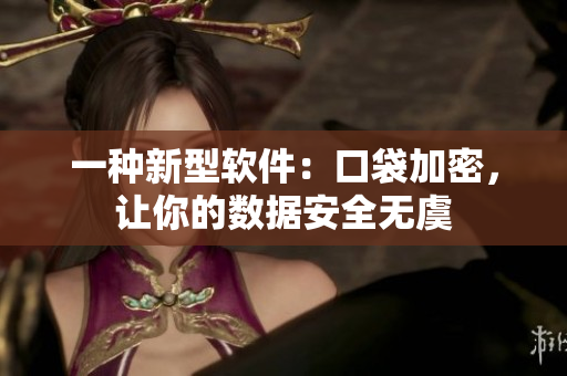 一种新型软件：口袋加密，让你的数据安全无虞