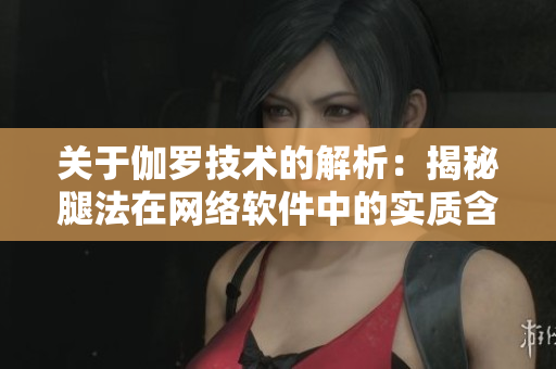 关于伽罗技术的解析：揭秘腿法在网络软件中的实质含义