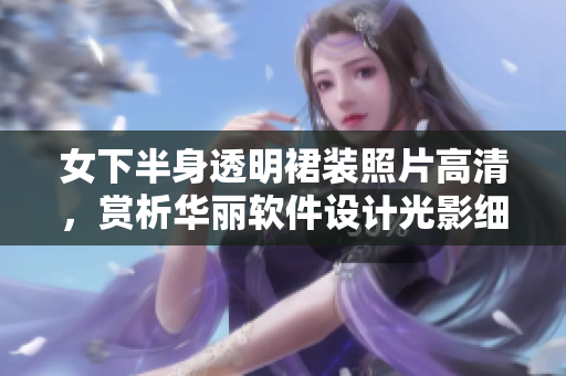 女下半身透明裙装照片高清，赏析华丽软件设计光影细节