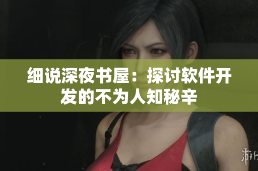细说深夜书屋：探讨软件开发的不为人知秘辛