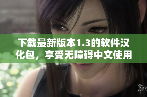 下载最新版本1.3的软件汉化包，享受无障碍中文使用体验