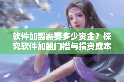 软件加盟需要多少资金？探究软件加盟门槛与投资成本