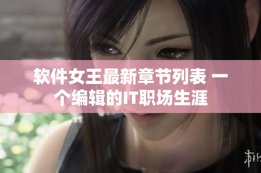 软件女王最新章节列表 一个编辑的IT职场生涯