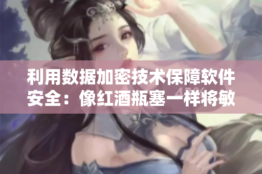 利用数据加密技术保障软件安全：像红酒瓶塞一样将敏感信息安全封存