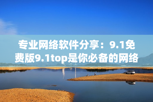 专业网络软件分享：9.1免费版9.1top是你必备的网络软件利器