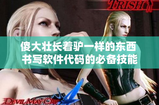 傻大壮长着驴一样的东西 书写软件代码的必备技能