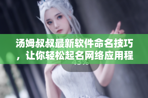 汤姆叔叔最新软件命名技巧，让你轻松起名网络应用程序！