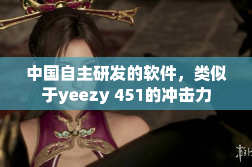 中国自主研发的软件，类似于yeezy 451的冲击力