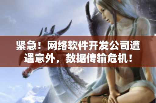 紧急！网络软件开发公司遭遇意外，数据传输危机！
