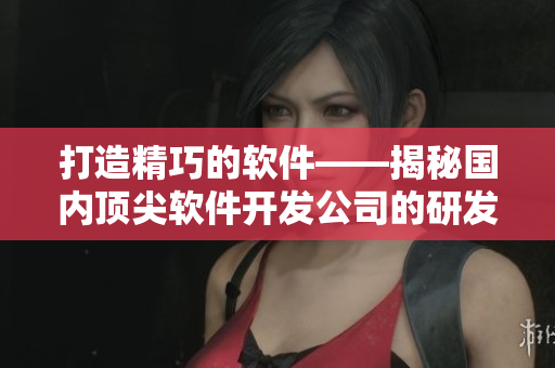 打造精巧的软件——揭秘国内顶尖软件开发公司的研发过程