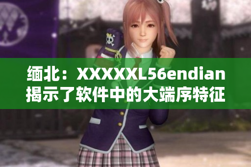 缅北：XXXXXL56endian揭示了软件中的大端序特征