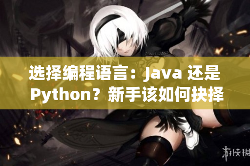 选择编程语言：Java 还是 Python？新手该如何抉择
