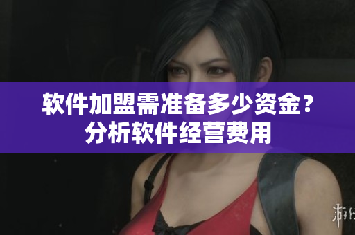 软件加盟需准备多少资金？分析软件经营费用