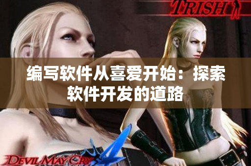 编写软件从喜爱开始：探索软件开发的道路