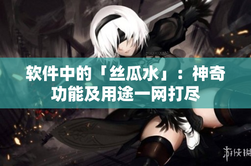 软件中的「丝瓜水」：神奇功能及用途一网打尽