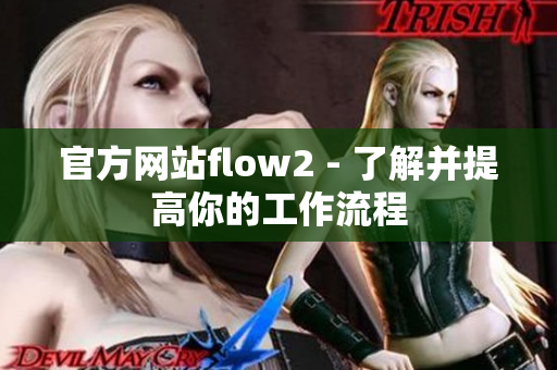 官方网站flow2 - 了解并提高你的工作流程