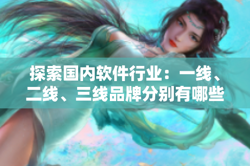 探索国内软件行业：一线、二线、三线品牌分别有哪些？