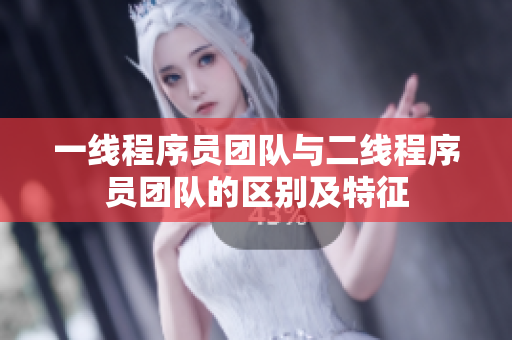 一线程序员团队与二线程序员团队的区别及特征