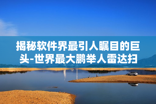 揭秘软件界最引人瞩目的巨头-世界最大鹏举人雷达扫图展示