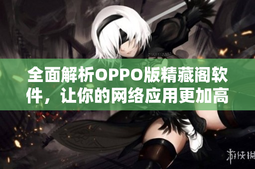 全面解析OPPO版精藏阁软件，让你的网络应用更加高效