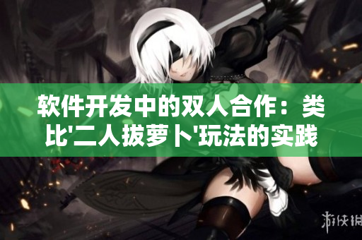 软件开发中的双人合作：类比'二人拔萝卜'玩法的实践探讨