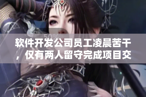软件开发公司员工凌晨苦干，仅有两人留守完成项目交付