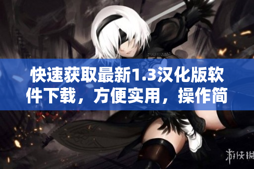 快速获取最新1.3汉化版软件下载，方便实用，操作简便
