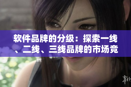 软件品牌的分级：探索一线、二线、三线品牌的市场竞争策略与发展趋势