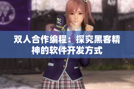 双人合作编程：探究黑客精神的软件开发方式
