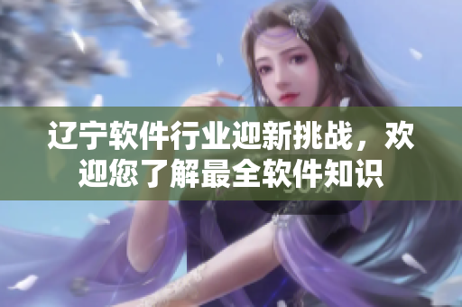 辽宁软件行业迎新挑战，欢迎您了解最全软件知识