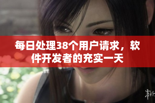 每日处理38个用户请求，软件开发者的充实一天