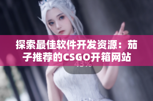 探索最佳软件开发资源：茄子推荐的CSGO开箱网站