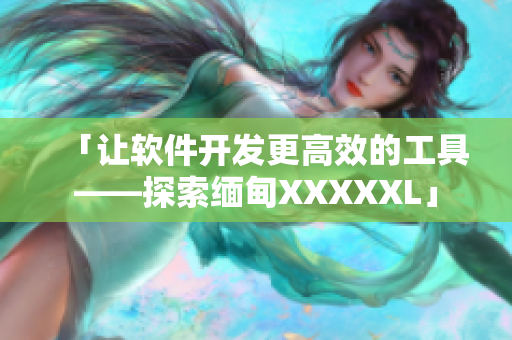 「让软件开发更高效的工具——探索缅甸XXXXXL」