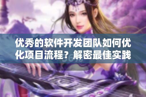 优秀的软件开发团队如何优化项目流程？解密最佳实践