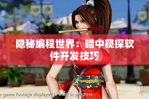 隐秘编程世界：暗中窥探软件开发技巧