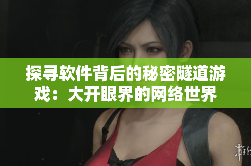 探寻软件背后的秘密隧道游戏：大开眼界的网络世界