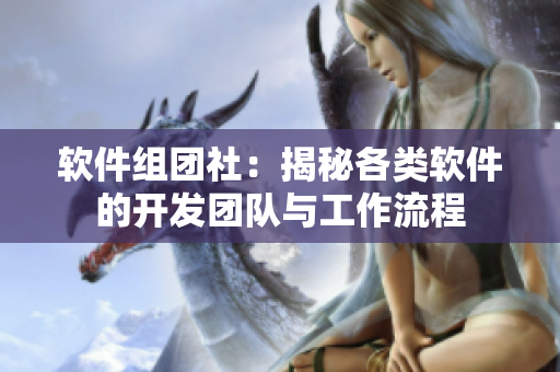 软件组团社：揭秘各类软件的开发团队与工作流程