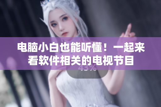 电脑小白也能听懂！一起来看软件相关的电视节目