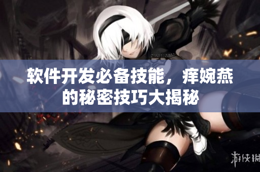 软件开发必备技能，痒婉燕的秘密技巧大揭秘