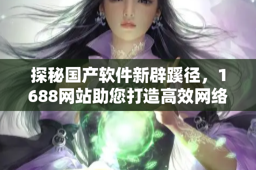 探秘国产软件新辟蹊径，1688网站助您打造高效网络软件