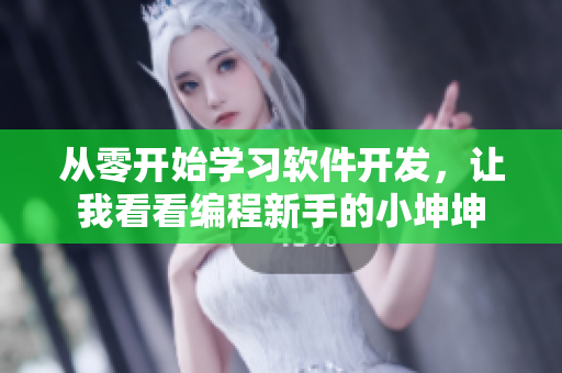 从零开始学习软件开发，让我看看编程新手的小坤坤