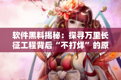 软件黑料揭秘：探寻万里长征工程背后“不打烊”的原因