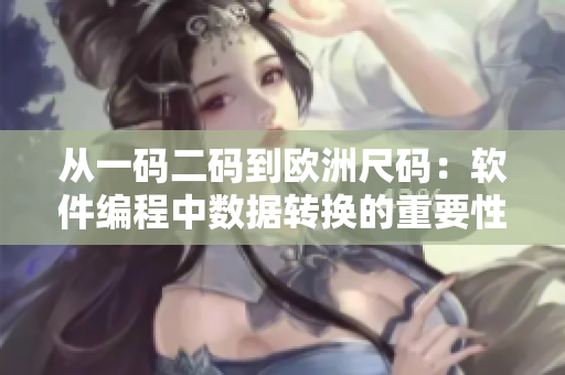 从一码二码到欧洲尺码：软件编程中数据转换的重要性