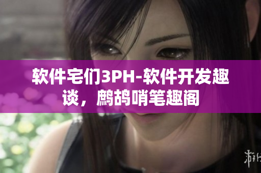 软件宅们3PH-软件开发趣谈，鹧鸪哨笔趣阁