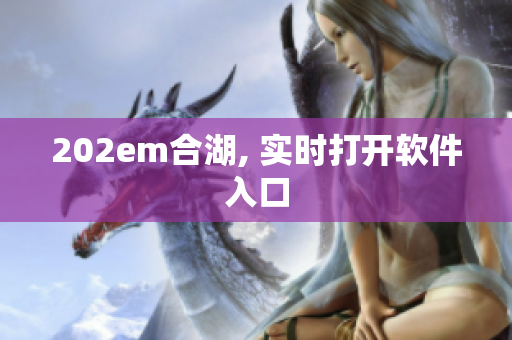 202em合湖, 实时打开软件入口