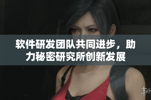 软件研发团队共同进步，助力秘密研究所创新发展