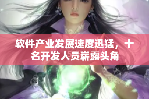 软件产业发展速度迅猛，十名开发人员崭露头角
