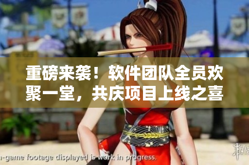 重磅来袭！软件团队全员欢聚一堂，共庆项目上线之喜！