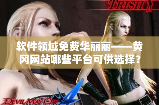 软件领域免费华丽丽——黄冈网站哪些平台可供选择？